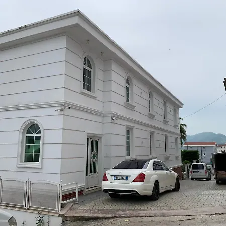 New * Tirana